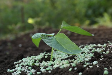 Photo of Green plant and fertilizer on soil outdoors