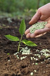 Photo of Man putting fertilizer onto soil under plant outdoors, closeup