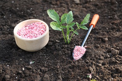 Photo of Plant, fertilizer and trowel on soil outdoors