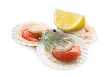 Image of Scallops in shells, lemon and dill on white background