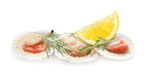 Image of Scallops in shells, lemon and herbs on white background