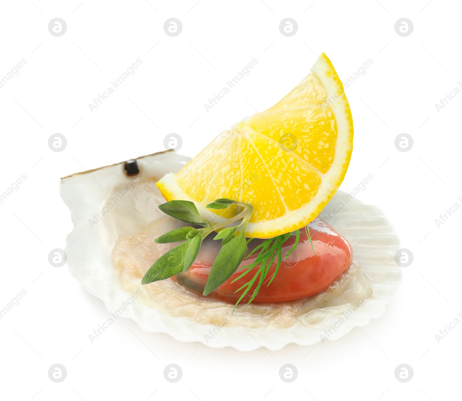 Image of Scallop in shell with lemon and herbs on white background