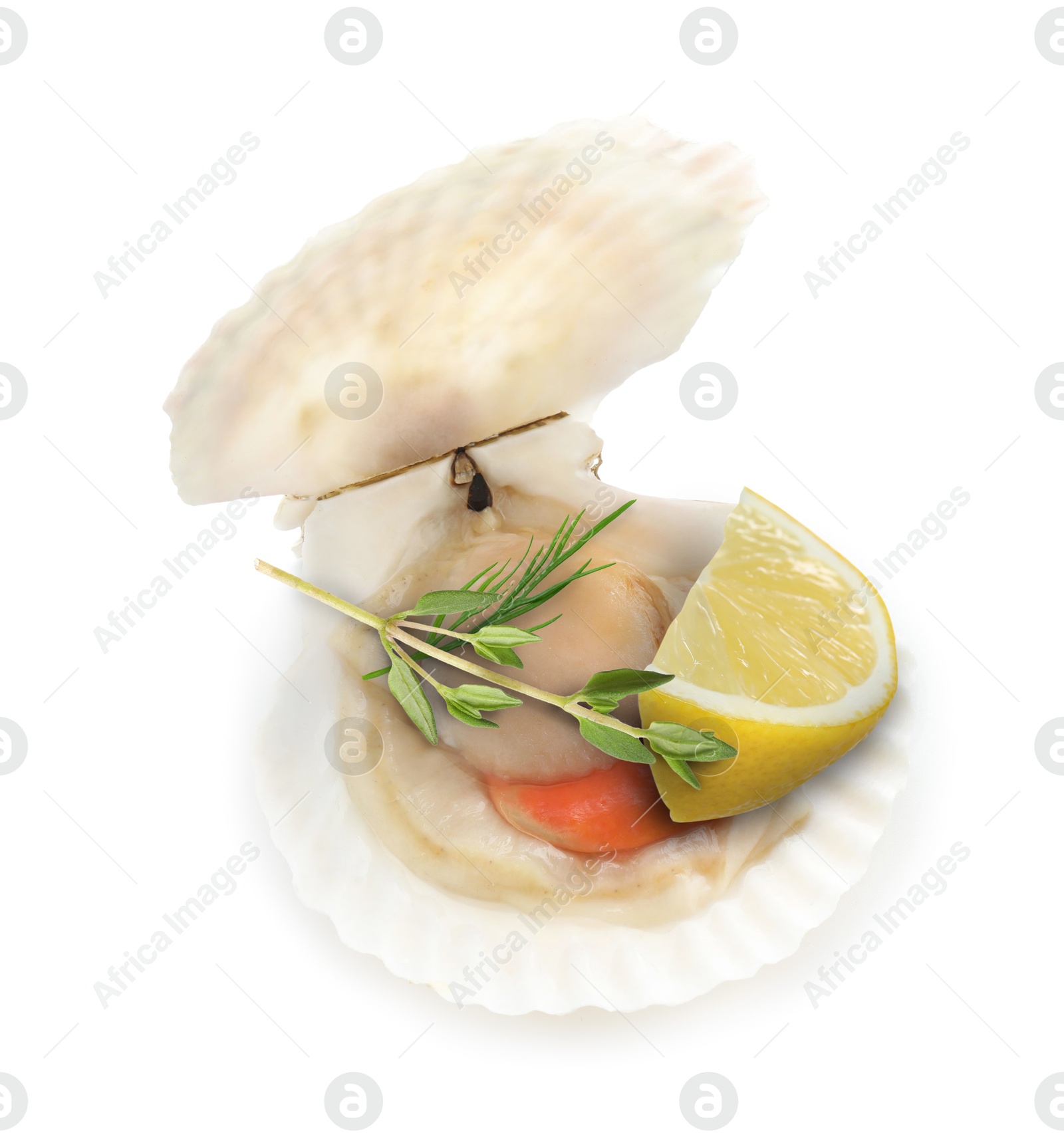 Image of Scallop in shell with lemon and thyme on white background