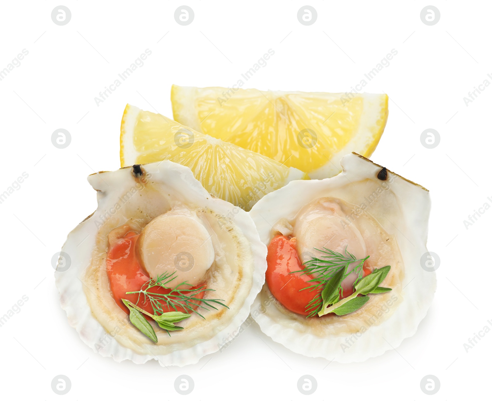 Image of Scallops in shells, lemon and herbs on white background