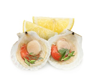 Image of Scallops in shells, lemon and herbs on white background