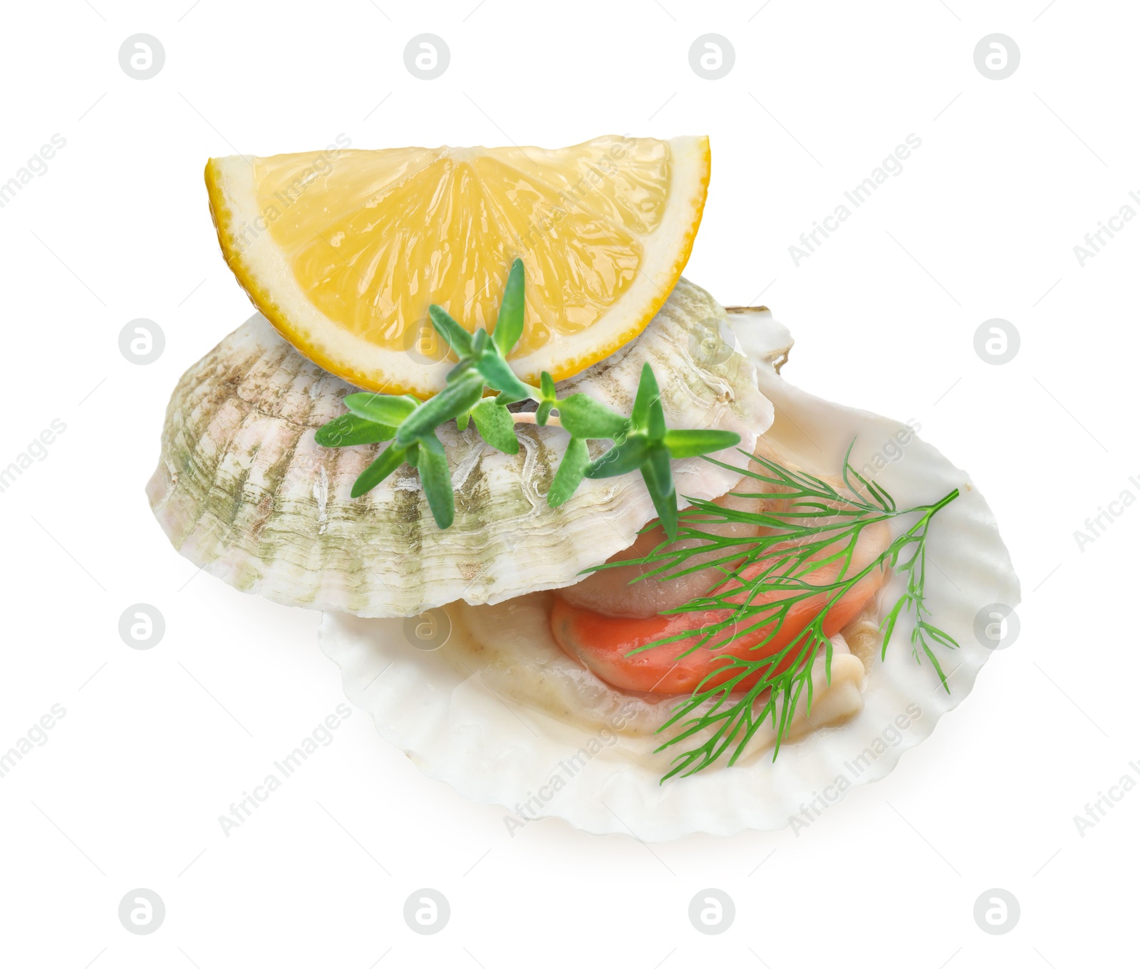 Image of Scallop in shell, lemon and herbs on white background