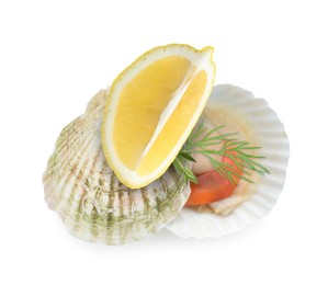 Image of Scallop in shell, lemon and herbs on white background