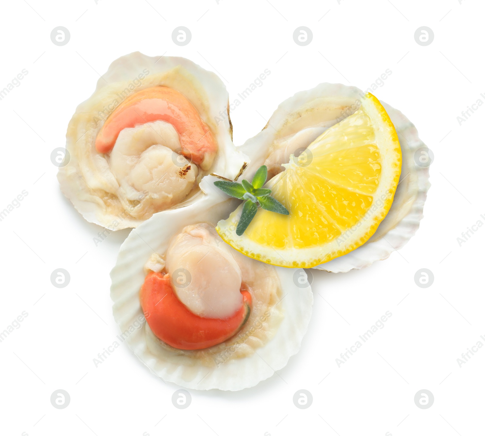 Image of Scallops in shells, lemon and thyme on white background