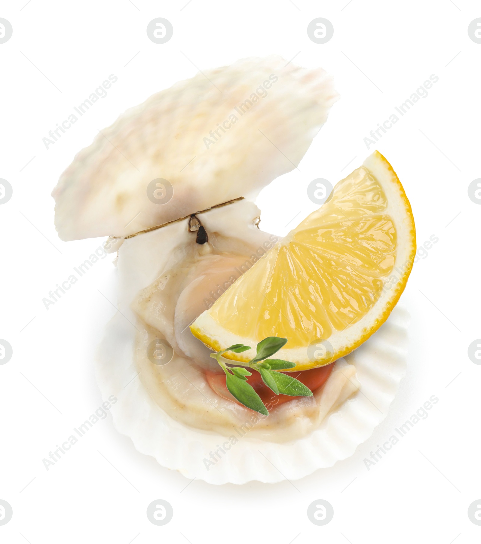 Image of Scallop in shell with lemon and thyme on white background