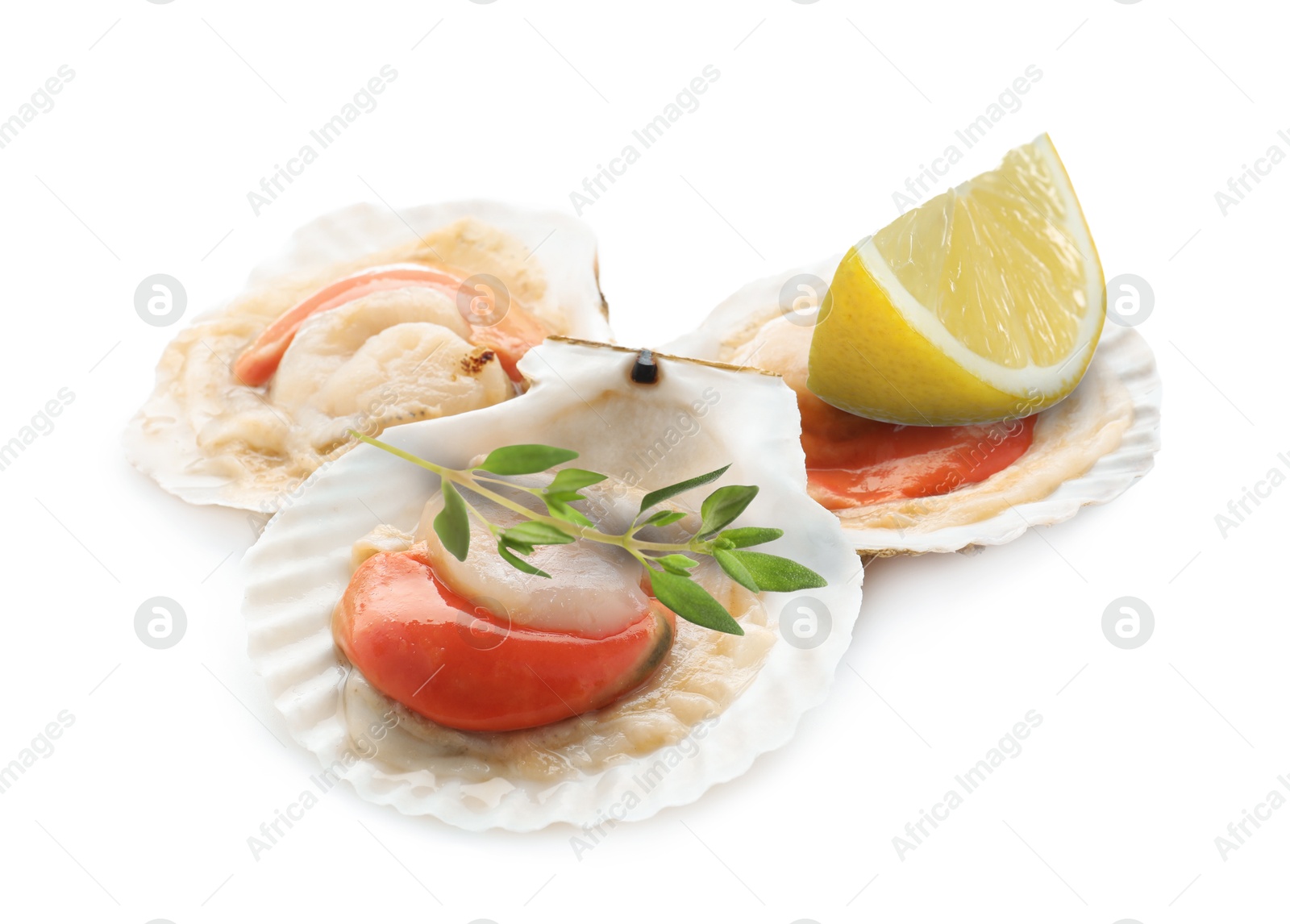 Image of Scallops in shells, lemon and thyme on white background