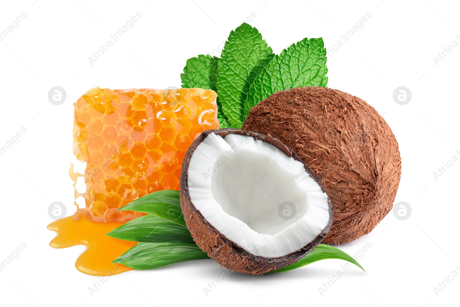 Image of Coconuts, honeycomb with honey and green leaves isolated on white