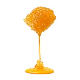 Image of Honey dripping from honeycomb on white background