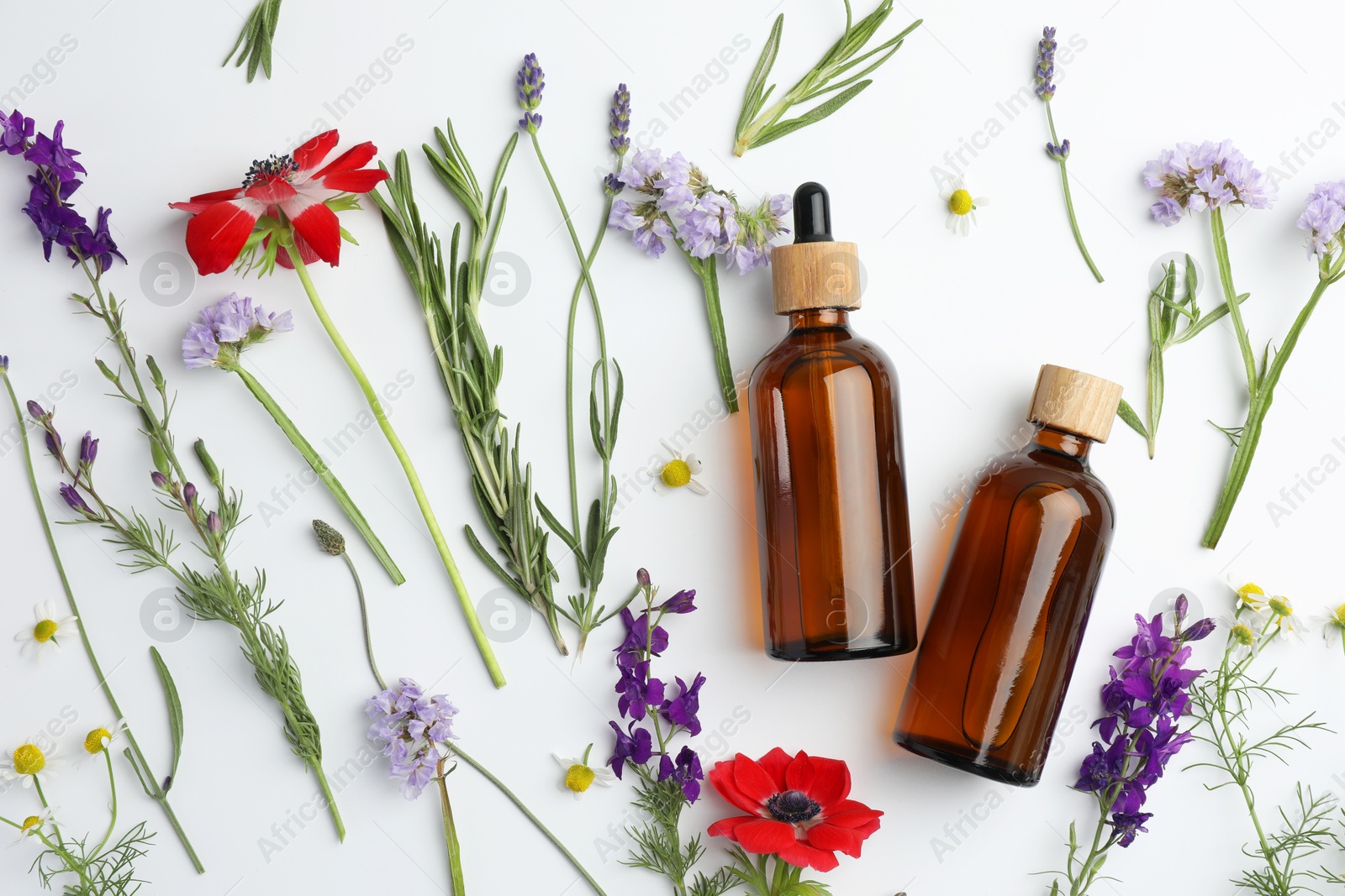 Photo of Aromatherapy. Essential oils, flowers and rosemary on white background, flat lay