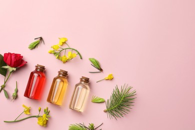 Photo of Aromatherapy. Different essential oils, fir twigs and flowers on pink background, flat lay. Space for text