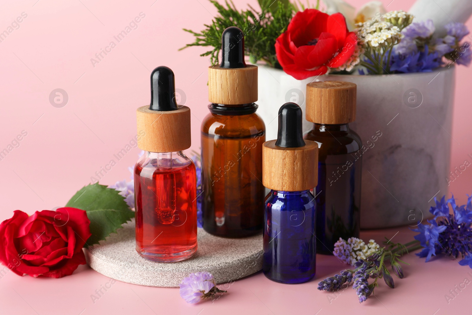 Photo of Aromatherapy. Different essential oils and flowers on pink background