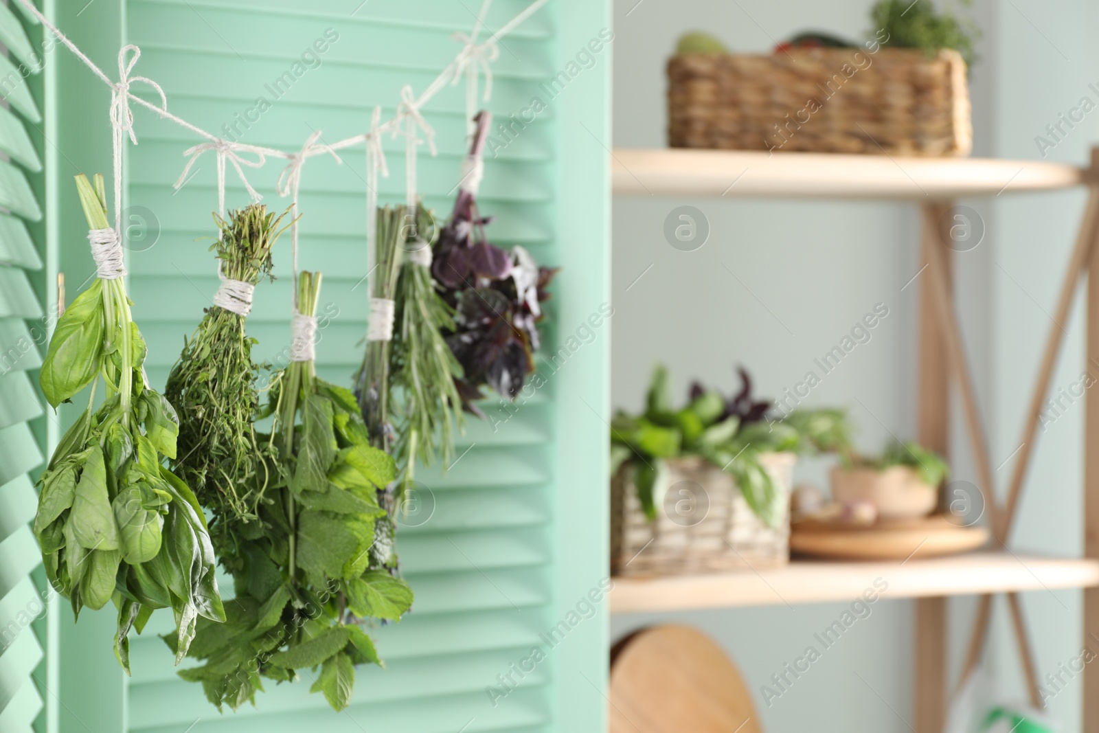 Photo of Bunches of different aromatic herbs hanging on rope indoors, closeup