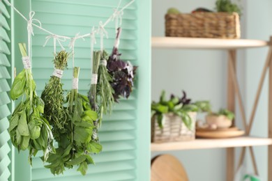 Bunches of different aromatic herbs hanging on rope indoors, closeup