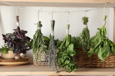 Bunches of different aromatic herbs hanging on rope indoors