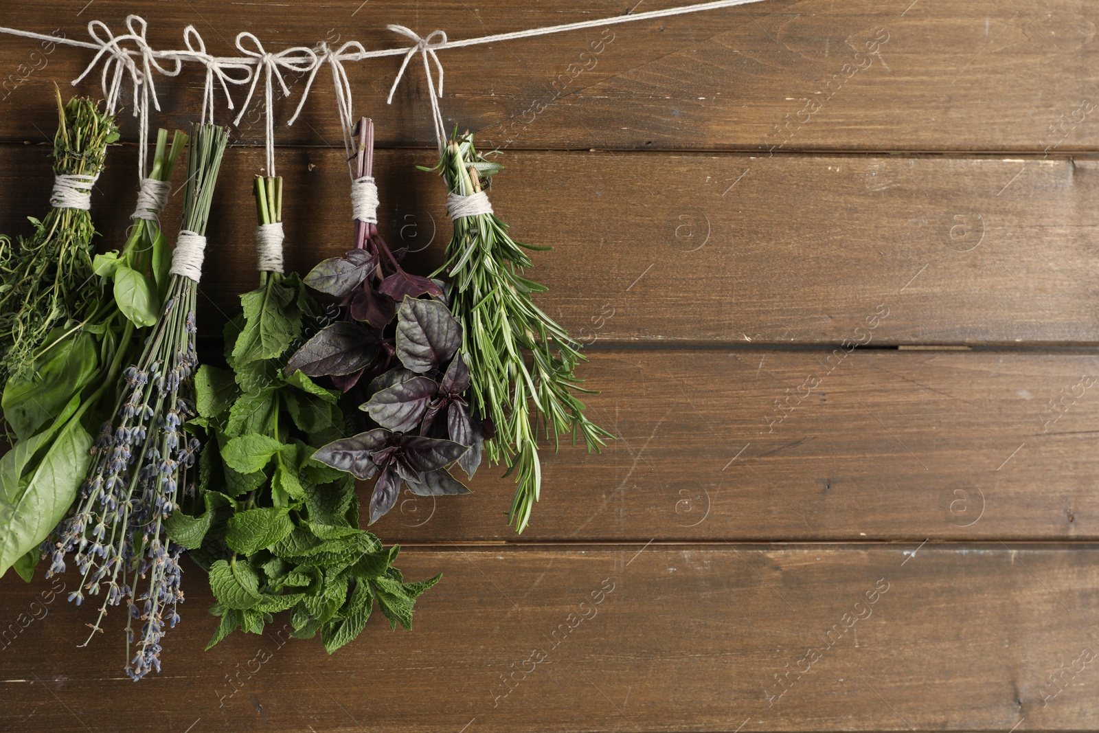 Photo of Bunches of different aromatic herbs hanging on rope near wooden wall, space for text