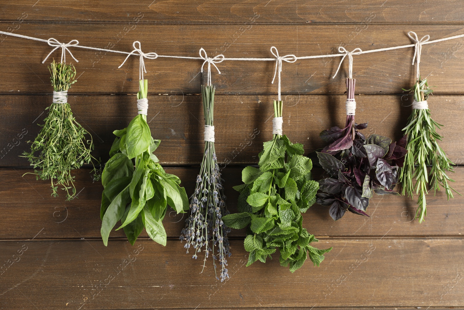 Photo of Bunches of different aromatic herbs hanging on rope near wooden wall