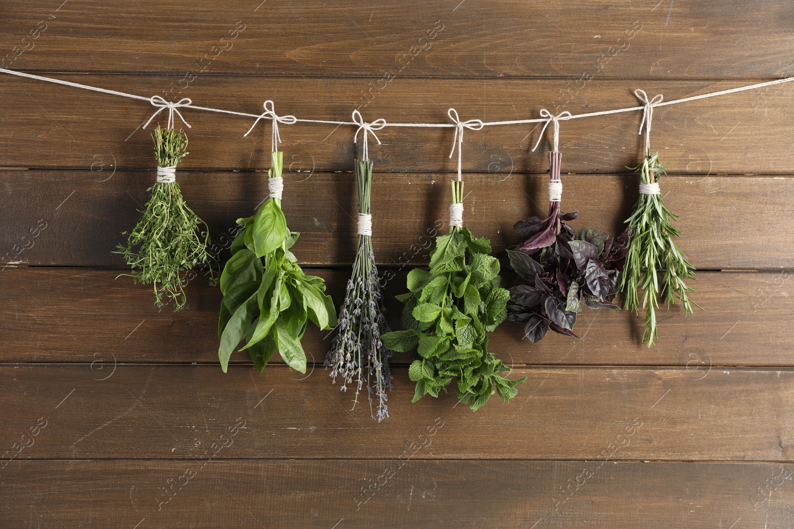 Photo of Bunches of different aromatic herbs hanging on rope near wooden wall