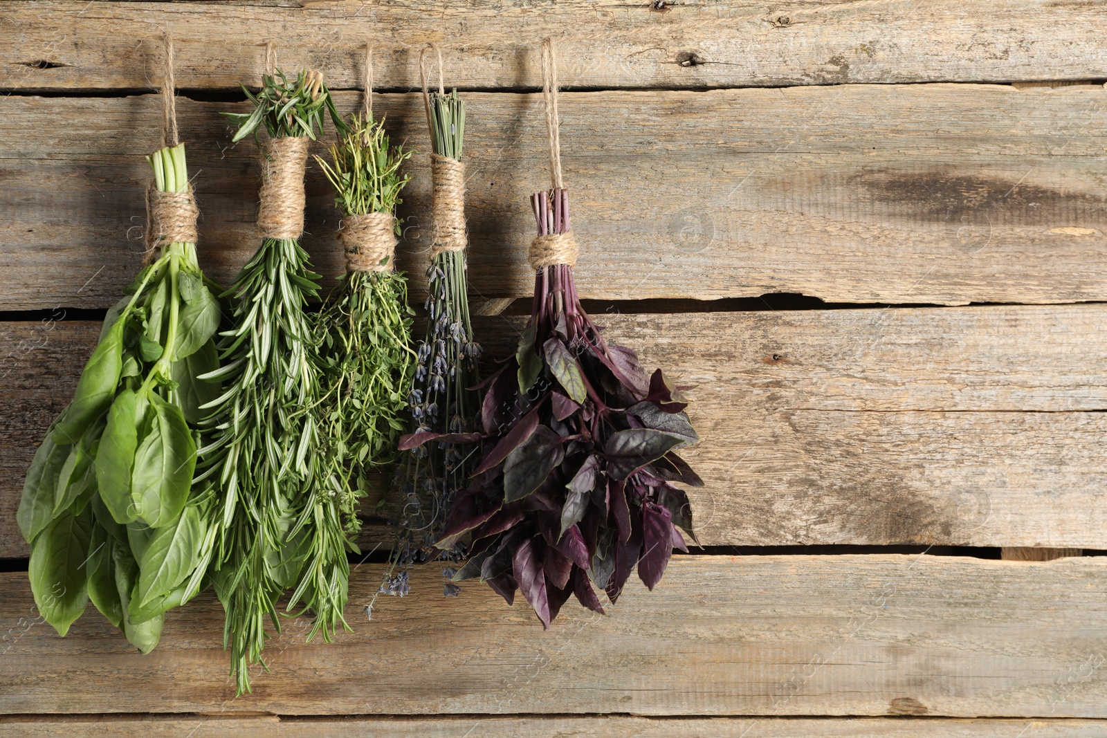 Photo of Bunches of different aromatic herbs hanging on rope near wooden wall, space for text