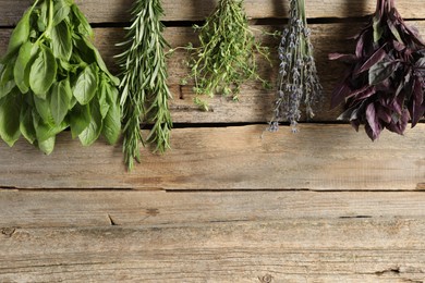 Bunches of different aromatic herbs hanging on rope near wooden wall, space for text