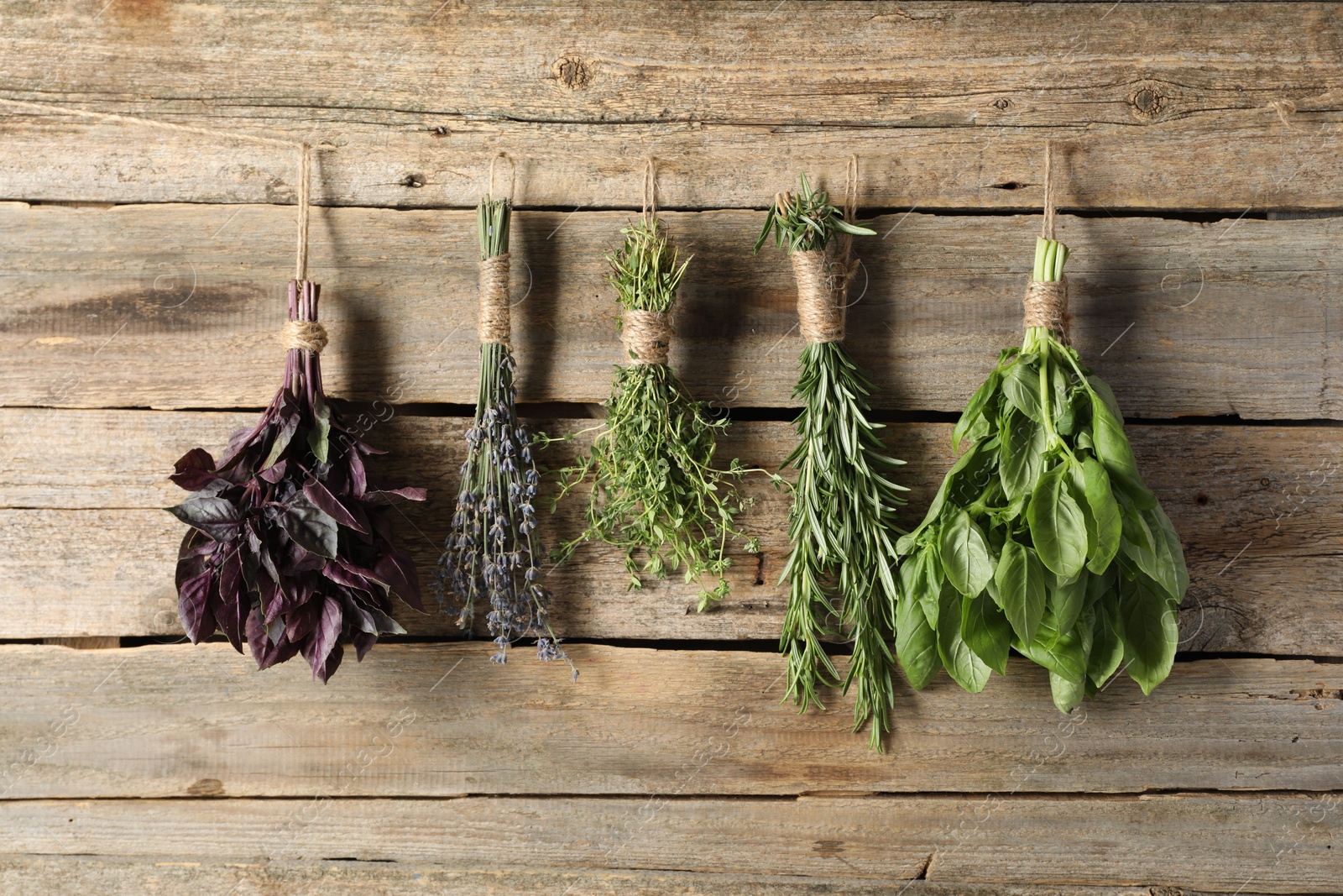 Photo of Bunches of different aromatic herbs hanging on rope near wooden wall