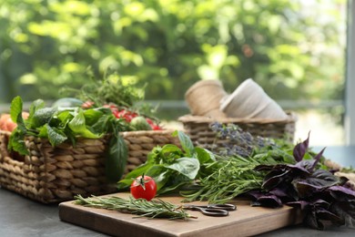 Photo of Different aromatic herbs, vegetables and scissors on gray table, closeup