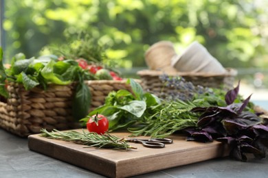 Photo of Different aromatic herbs, vegetables and scissors on gray table, closeup