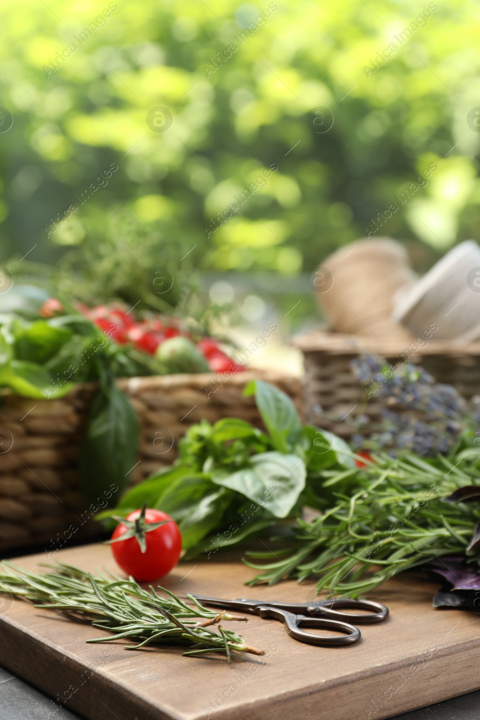 Photo of Different aromatic herbs, vegetables and scissors on table, closeup