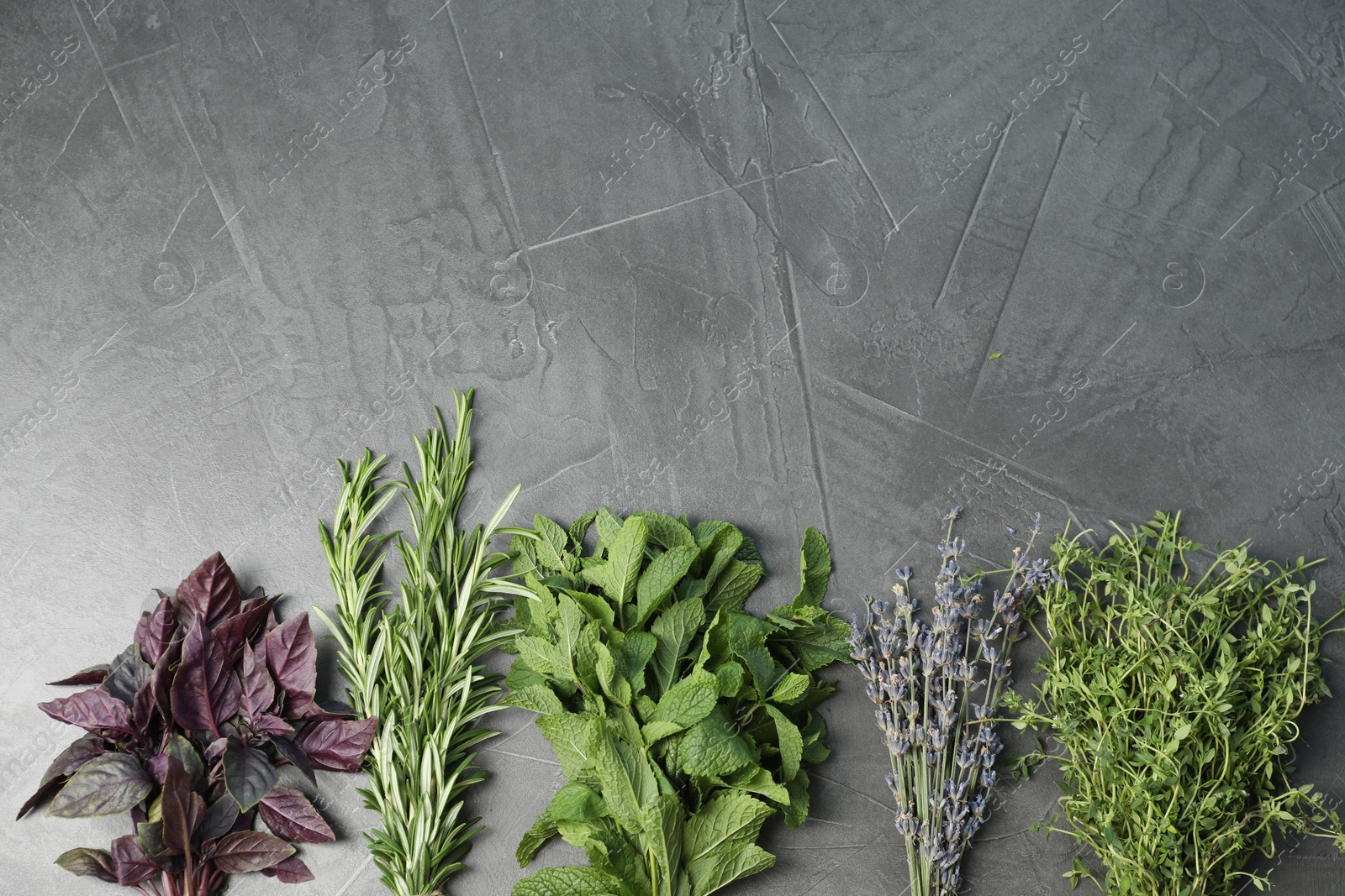 Photo of Bunches of different aromatic herbs on gray textured table, flat lay. Space for text