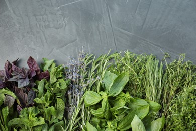 Photo of Different aromatic herbs on gray textured table, top view. Space for text