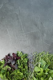 Photo of Different aromatic herbs on gray textured table, top view. Space for text