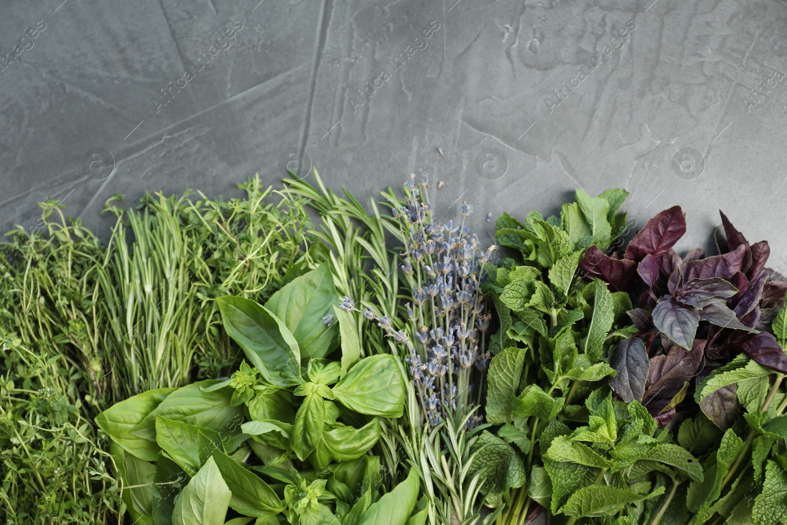 Photo of Different aromatic herbs on gray textured table, top view. Space for text