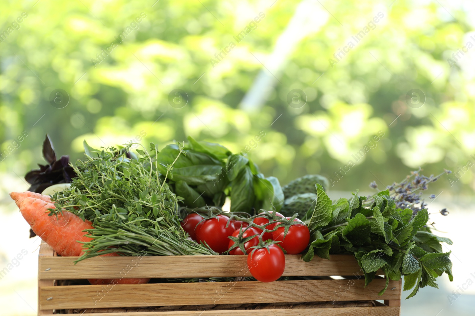 Photo of Different aromatic herbs and vegetables in wooden crate outdoors, closeup. Space for text