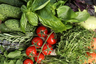Photo of Different aromatic herbs and vegetables as background, top view
