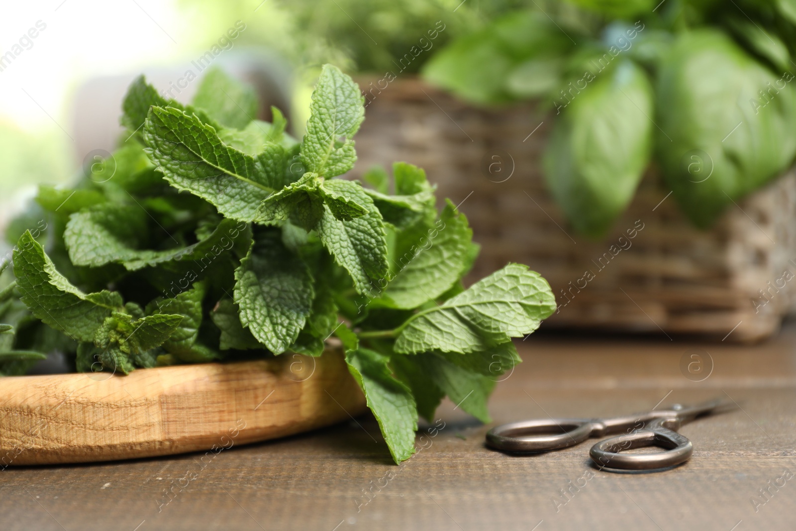 Photo of Mint and scissors on wooden table, closeup