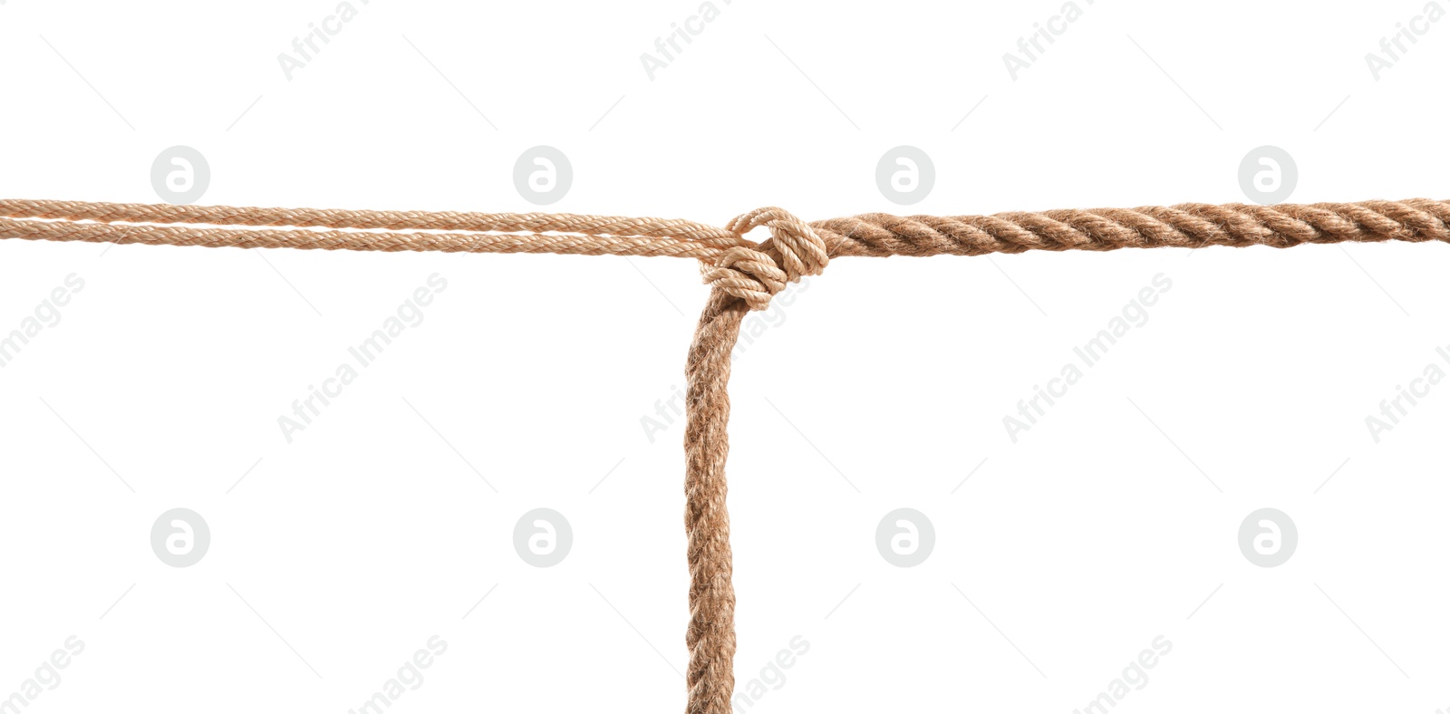 Photo of Hemp rope with knot on white background