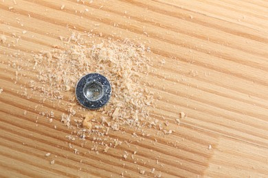 Photo of Screw in wooden plank and sawdust, top view