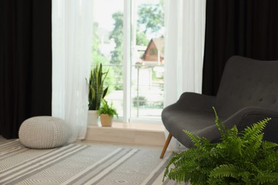 Sofa, green houseplants, pouffe and elegant curtains in room. Interior design