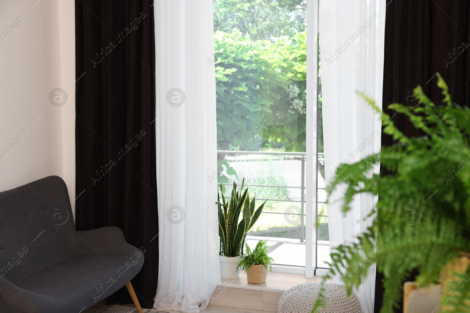 Photo of Shelving unit, sofa, green houseplants, pouffe and elegant curtains in room. Interior design