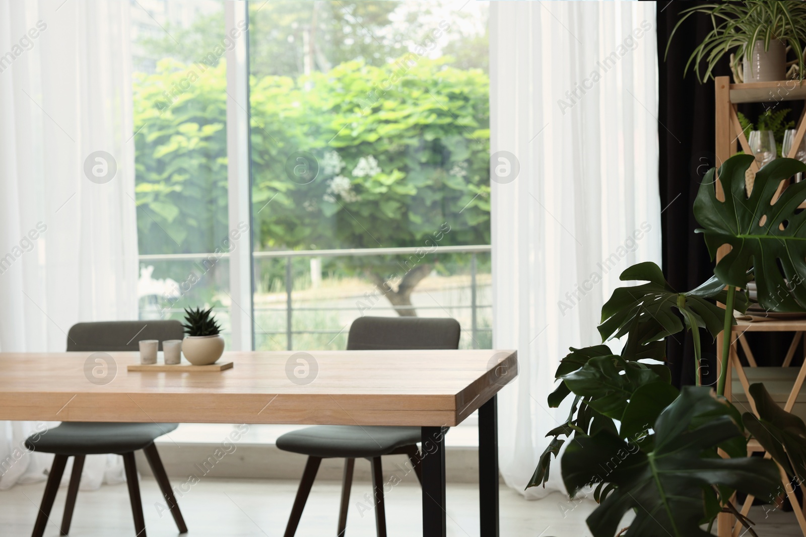 Photo of Stylish furniture, green houseplants and elegant curtain in room. Interior design