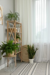 Photo of Window with beautiful curtains, shelving unit and houseplants in room. Interior design