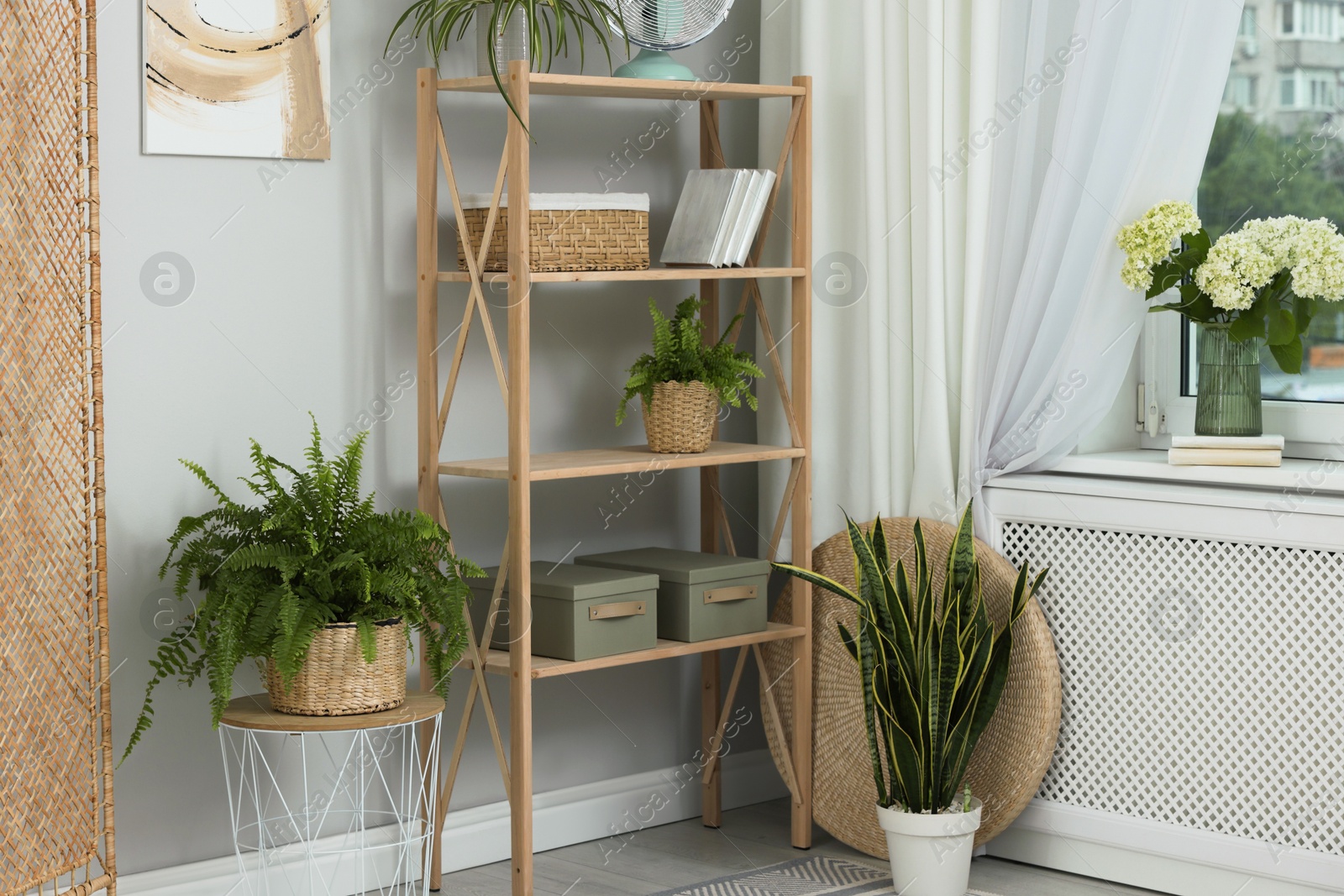 Photo of Window with beautiful curtain, shelving unit and houseplants in room. Interior design