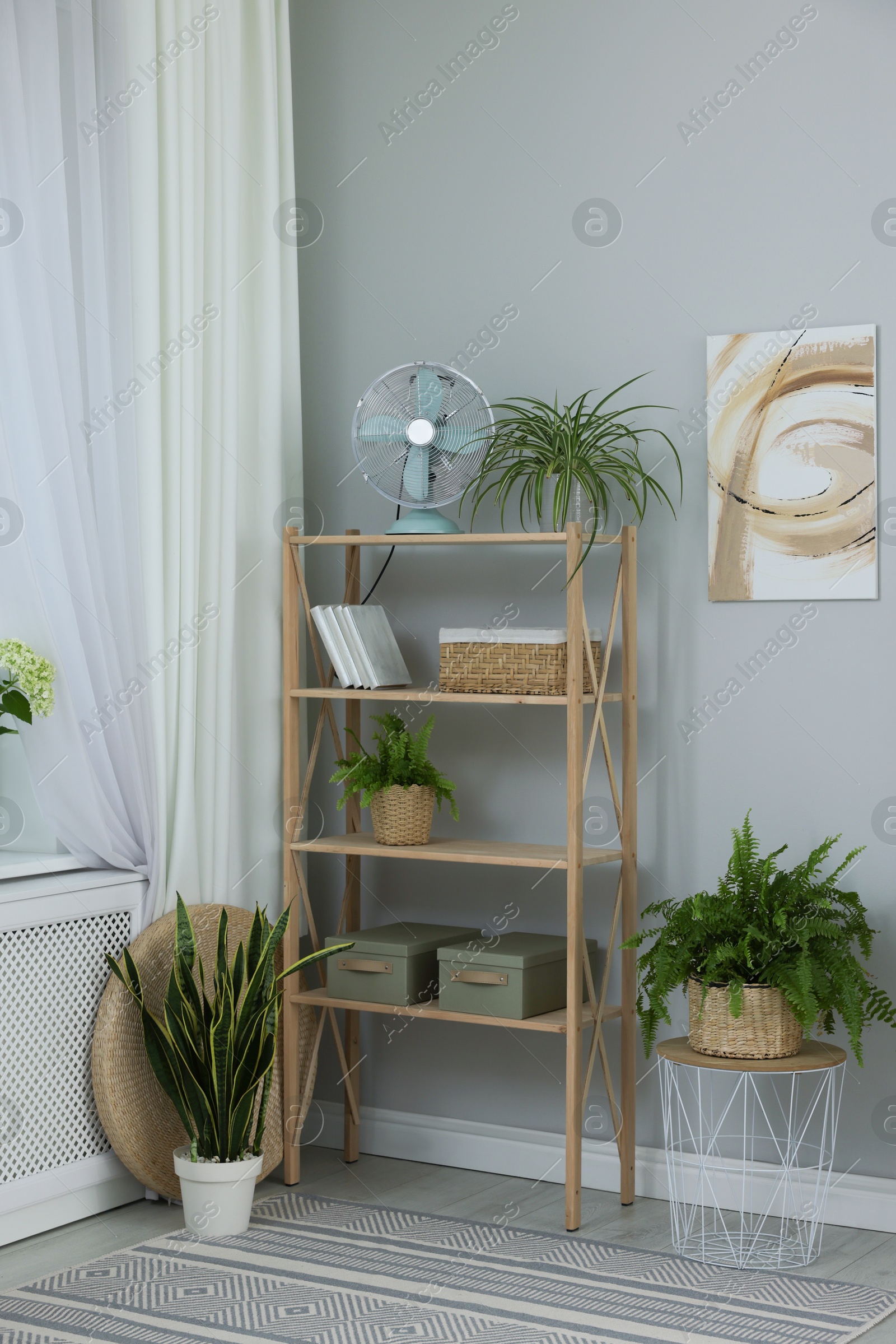 Photo of Window with beautiful curtain, shelving unit and houseplants in room. Interior design