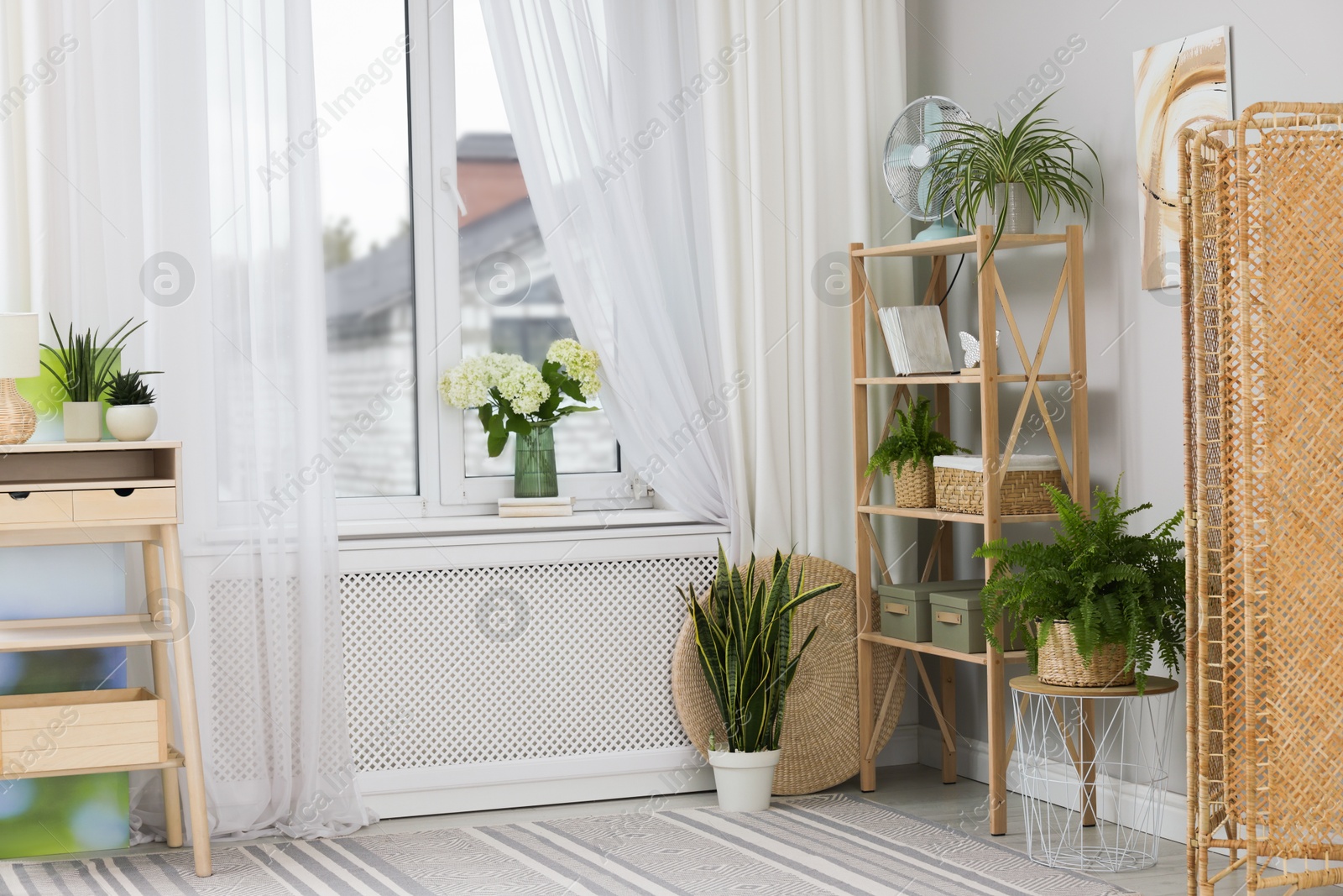 Photo of Window with beautiful curtains, houseplants and furniture in room. Interior design