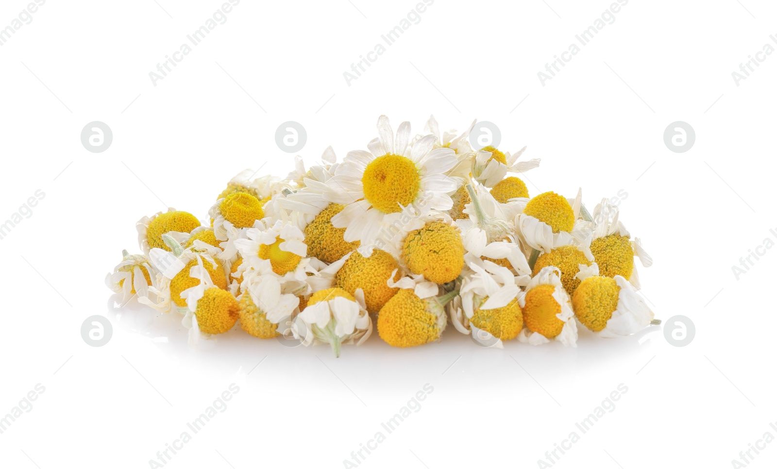 Photo of Pile of dry and fresh chamomile flowers isolated on white