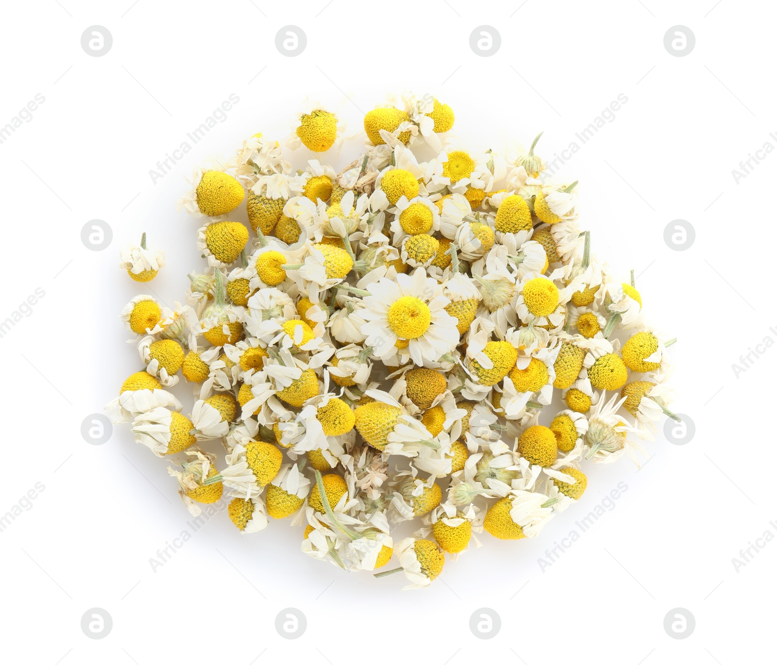 Photo of Pile of dry and fresh chamomile flowers isolated on white, top view