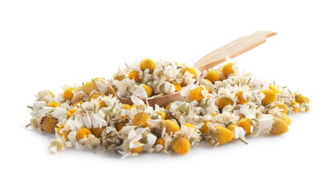 Photo of Pile of chamomile flowers and wooden spoon isolated on white